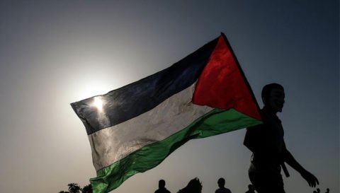 Hollywood celebrities in support of Palestine - Media Quotient Inc.